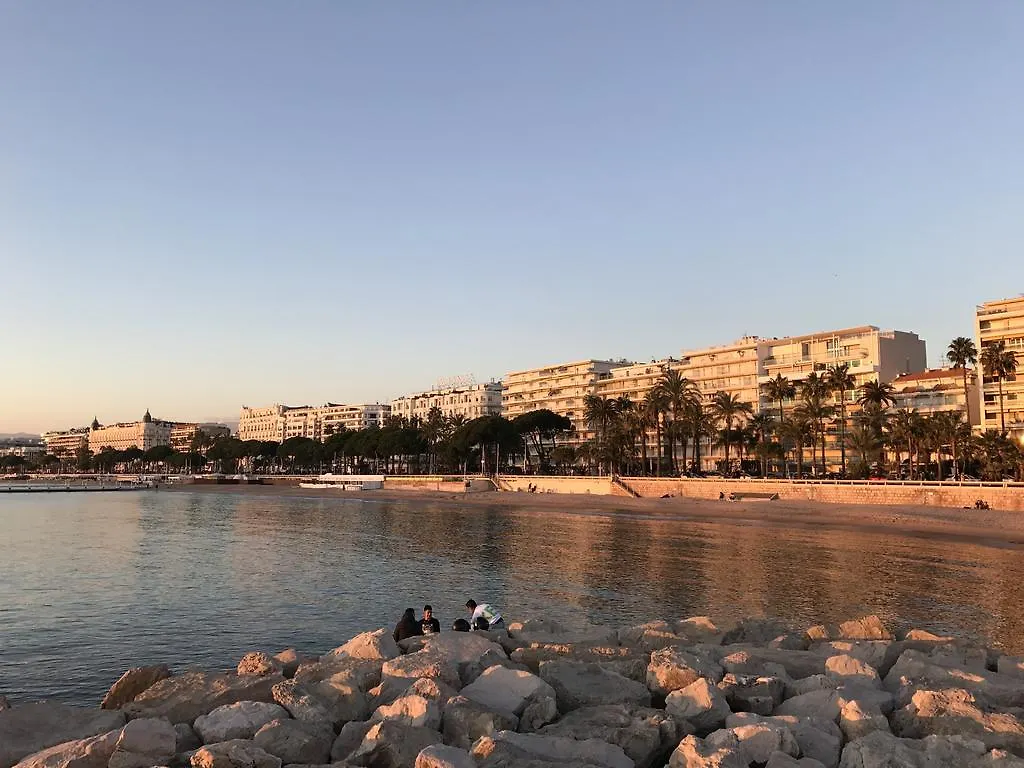 Close Palais - Calm - Brand New Cannes
